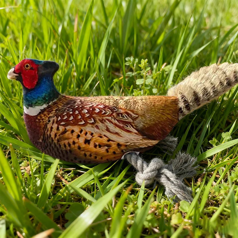 Colorful Pheasant Plush Squeaky Toy for Cats and Dogs