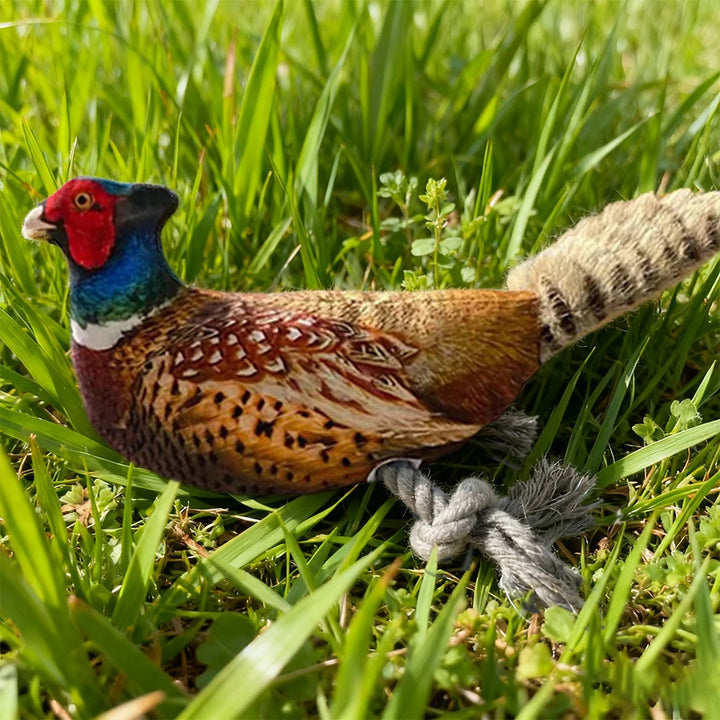 Colorful Pheasant Plush Squeaky Toy for Cats and Dogs