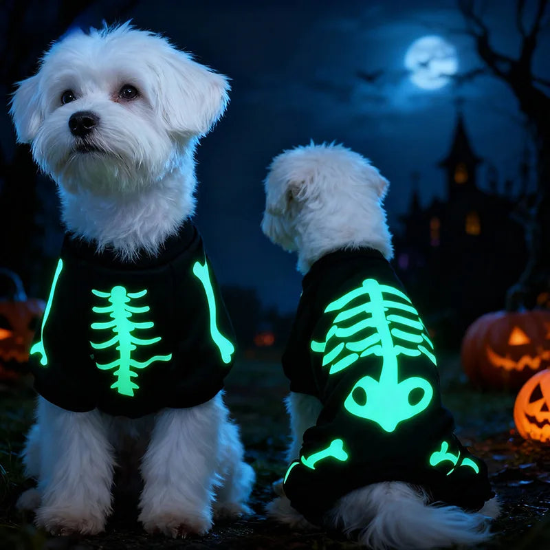 Halloween Full Body Jumpsuit for Small Dogs – Scary & Funny Skeleton Pet Costume for Trick-or-Treat
