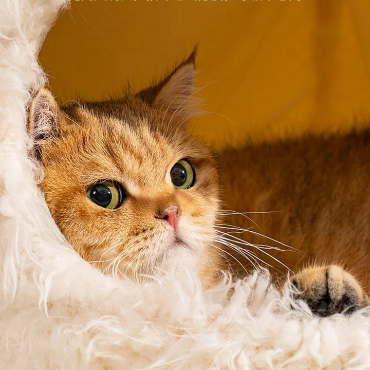 Ultra-Soft Pet House – Deep Comfort Sleeping Bed for Cats & Small Dogs
