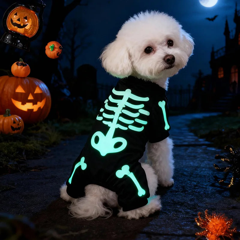 Halloween Full Body Jumpsuit for Small Dogs – Scary & Funny Skeleton Pet Costume for Trick-or-Treat