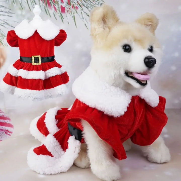 Cute Santa Claus Dog Skirt – Soft & Breathable Christmas Costume for Small Dogs | Warm Pet Winter Outfit