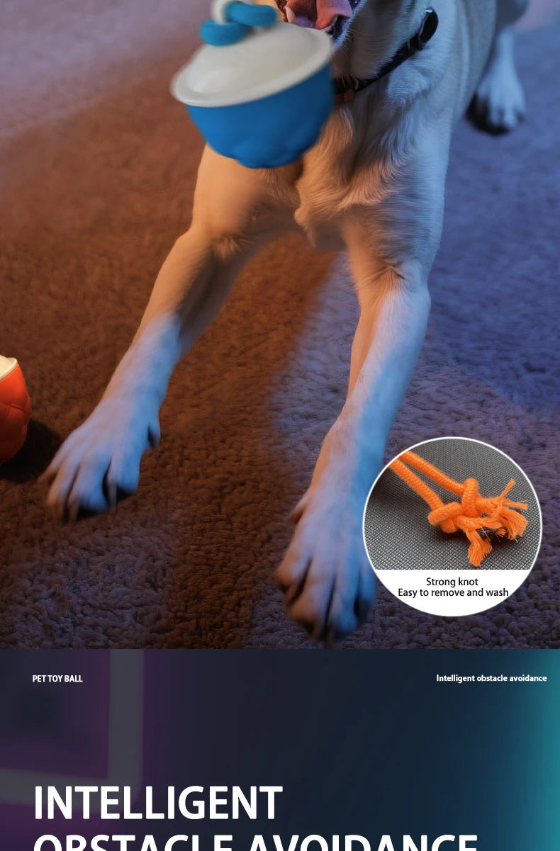 Smart Self-Rolling Electric Dog Ball with Sound Toy