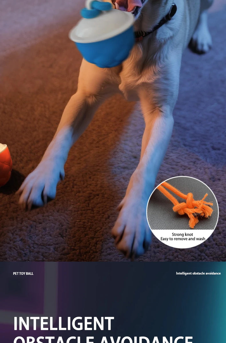 Smart Self-Rolling Electric Dog Ball with Sound Toy