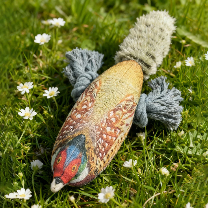 Colorful Pheasant Plush Squeaky Toy for Cats and Dogs