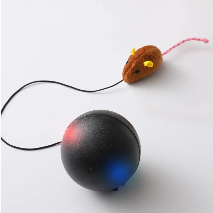 USB Rechargeable Interactive Cat Ball with Motion Sensor