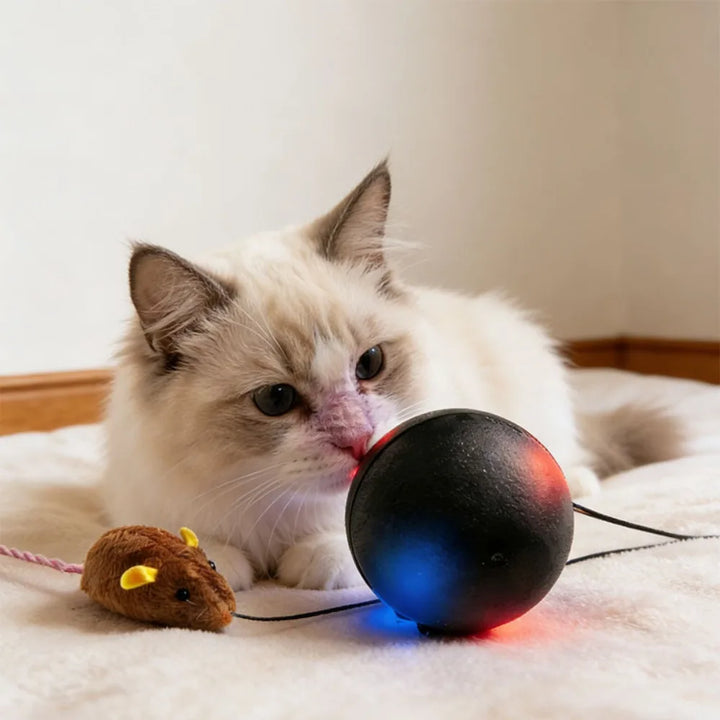 USB Rechargeable Interactive Cat Ball with Motion Sensor