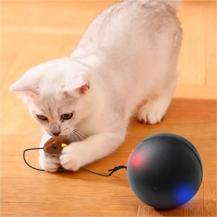USB Rechargeable Interactive Cat Ball with Motion Sensor