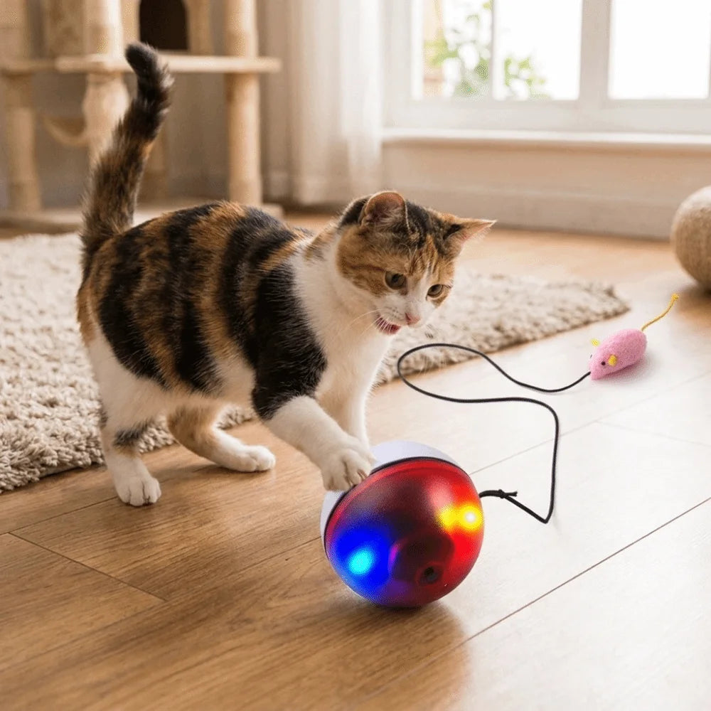 USB Rechargeable Interactive Cat Ball with Motion Sensor