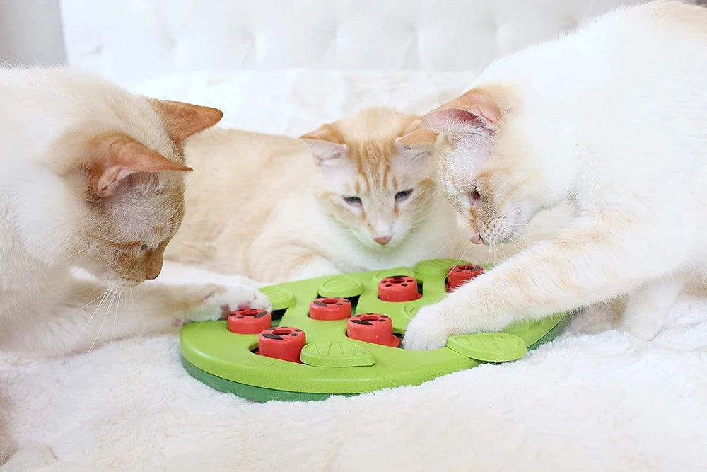 Interactive Cat Puzzle Slow Feeder Toy and Treat Board