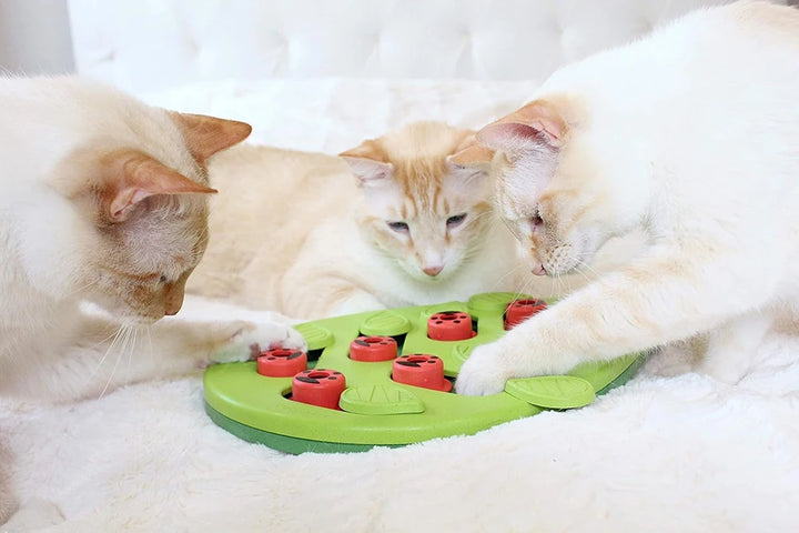 Interactive Cat Puzzle Slow Feeder Toy and Treat Board