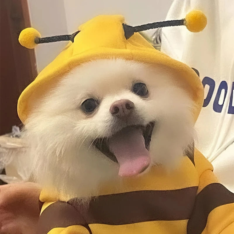 Yellow Bee Pet Hoodie – Fleece Dog & Cat Costume for Halloween, Cosplay & Winter Warmth