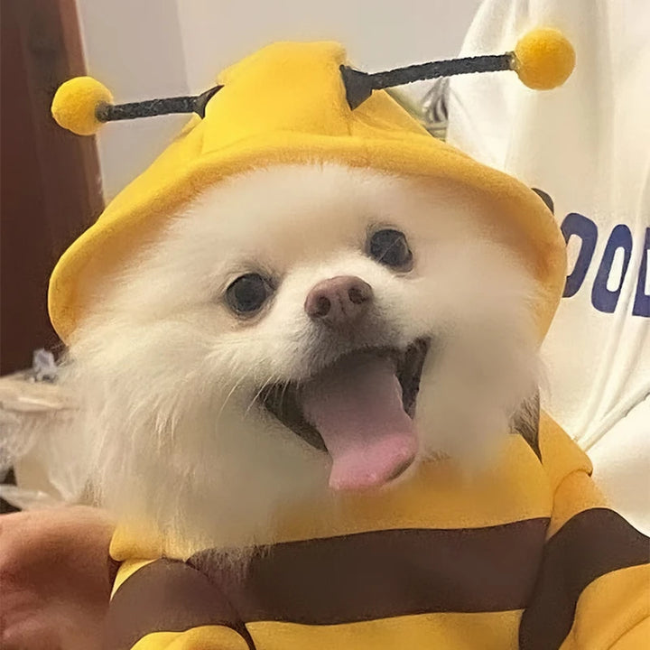 Yellow Bee Pet Hoodie – Fleece Dog & Cat Costume for Halloween, Cosplay & Winter Warmth