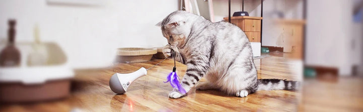 DOEL Automatic Cat Feather Toy with 360° Rotation