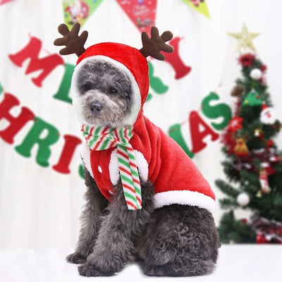 Christmas Pet Costumes