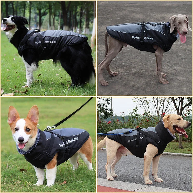 Waterproof - Winter Dog Coat With Harness