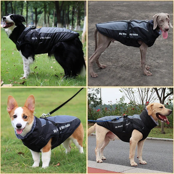 Waterproof - Winter Dog Coat With Harness