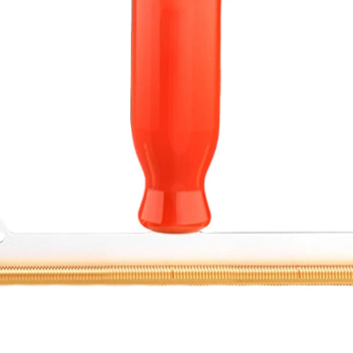 Reusable Pet Hair Remover Brush for Clothes and Furniture