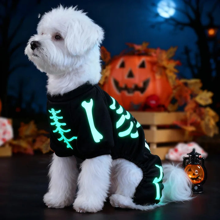 Halloween Full Body Jumpsuit for Small Dogs – Scary & Funny Skeleton Pet Costume for Trick-or-Treat