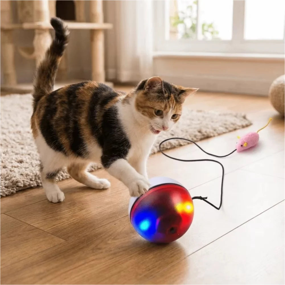 USB Rechargeable Interactive Cat Ball with Motion Sensor