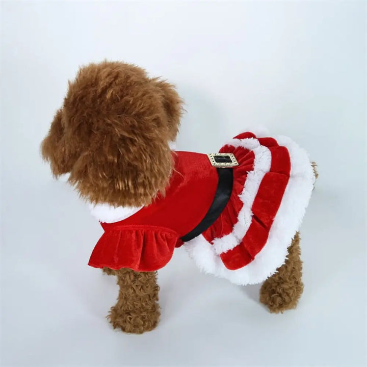 Cute Santa Claus Dog Skirt – Soft & Breathable Christmas Costume for Small Dogs | Warm Pet Winter Outfit
