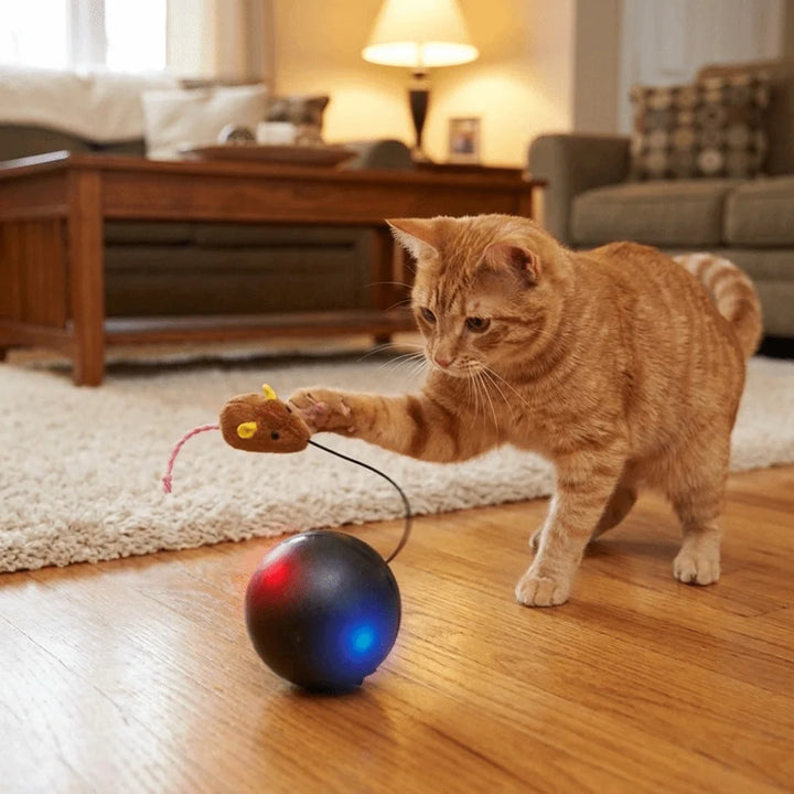 USB Rechargeable Interactive Cat Ball with Motion Sensor