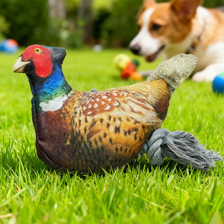 Colorful Pheasant Plush Squeaky Toy for Cats and Dogs