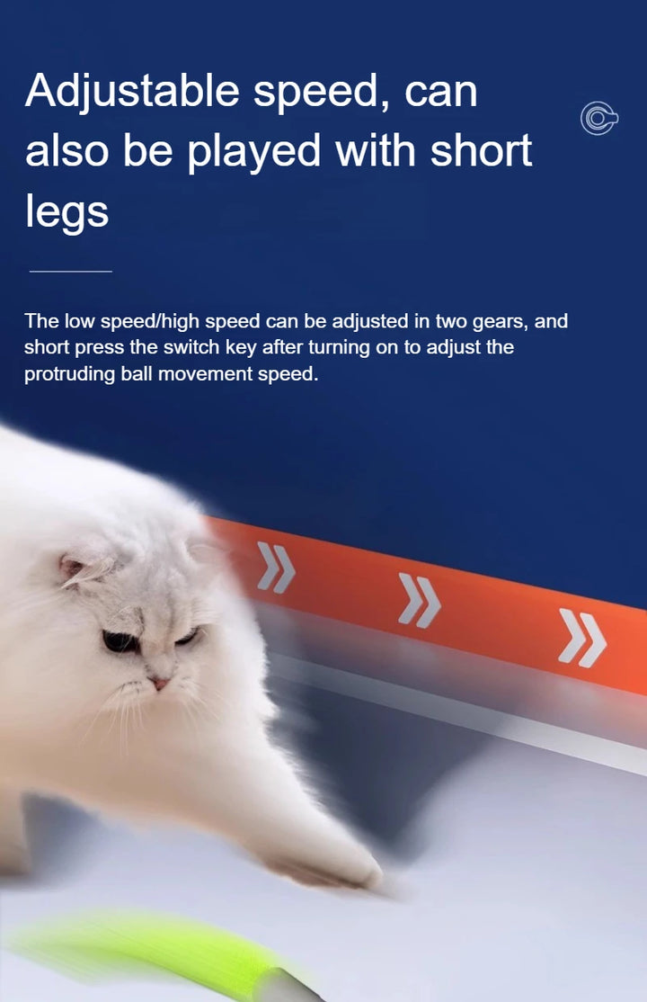 USB Rechargeable Automatic Rolling Ball Cat Toy with Tail