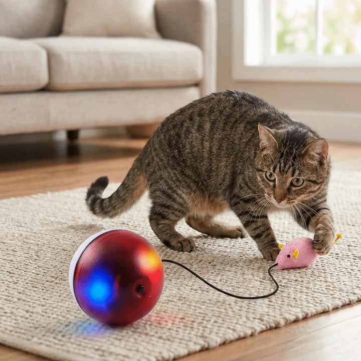 USB Rechargeable Interactive Cat Ball with Motion Sensor