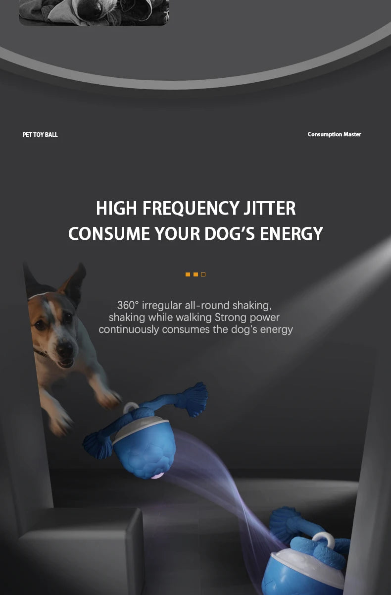 Smart Self-Rolling Electric Dog Ball with Sound Toy