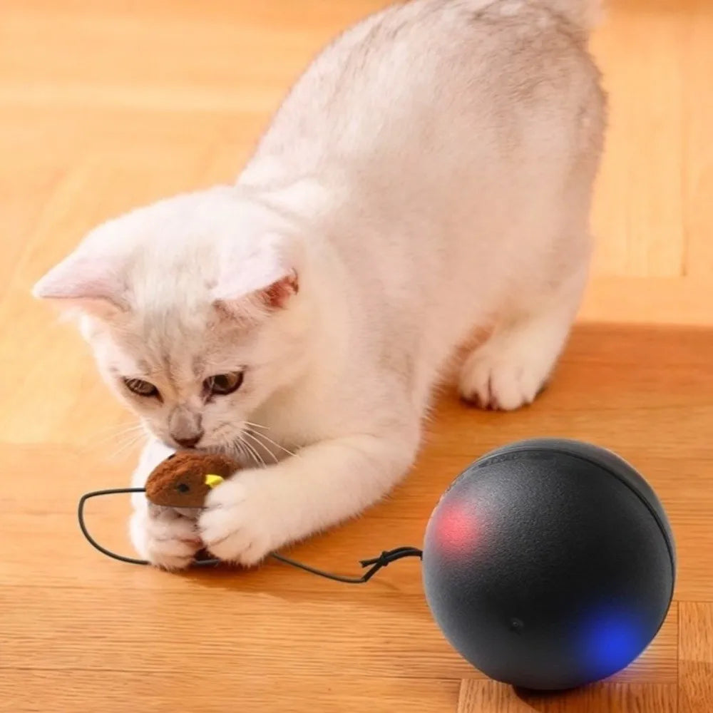 USB Rechargeable Interactive Cat Ball with Motion Sensor