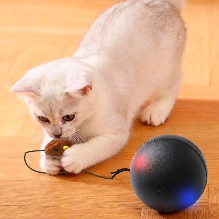 USB Rechargeable Interactive Cat Ball with Motion Sensor