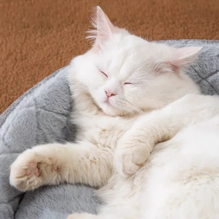 Cozy Pet Cave – Warm With Removable Cushion