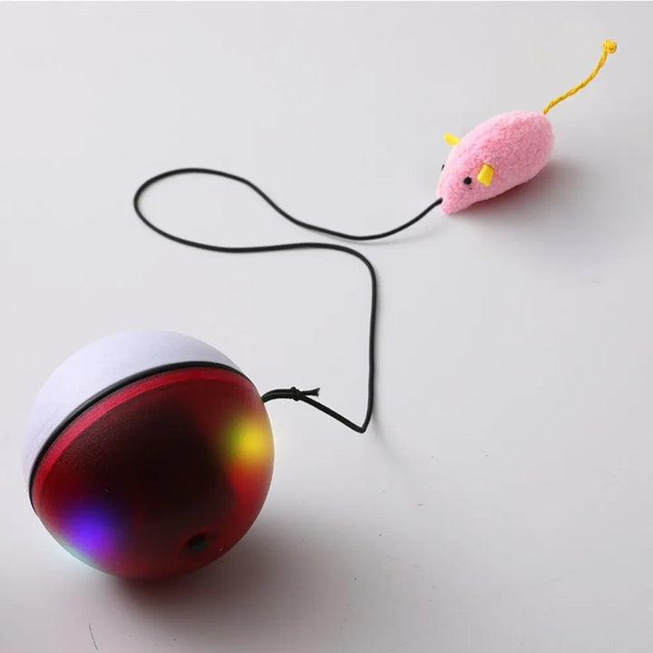 USB Rechargeable Interactive Cat Ball with Motion Sensor