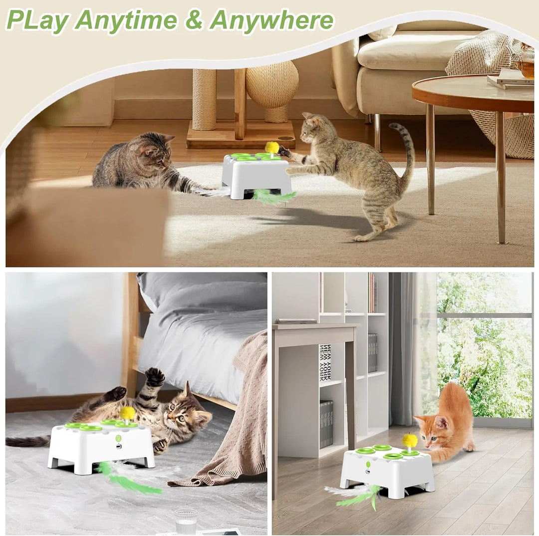 Rechargeable Whack a Mole Interactive Cat Toy for Pets