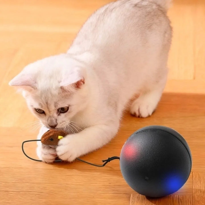 USB Rechargeable Interactive Cat Ball with Motion Sensor