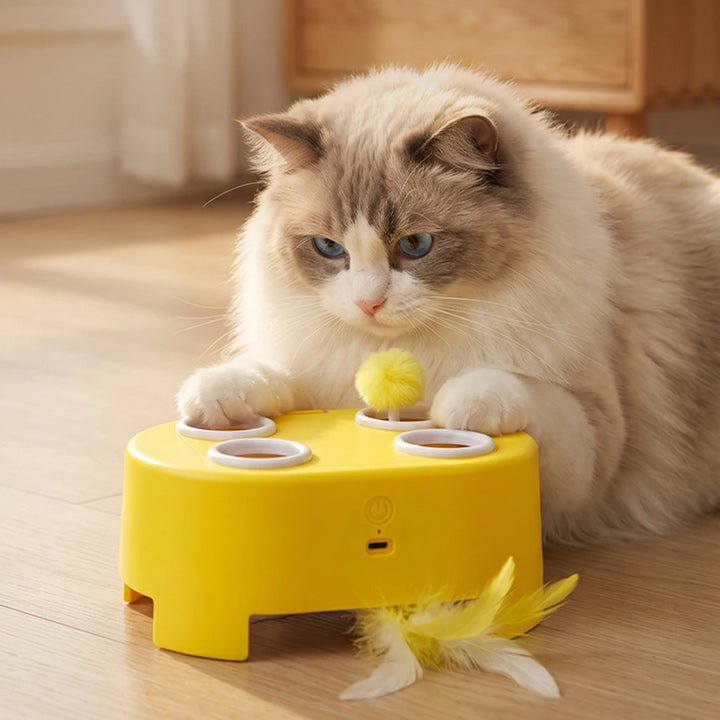 Automatic Whack-A-Mole Cat Toy, Rechargeable Interactive Game