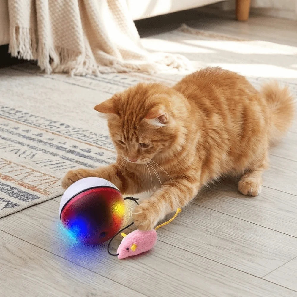 USB Rechargeable Interactive Cat Ball with Motion Sensor