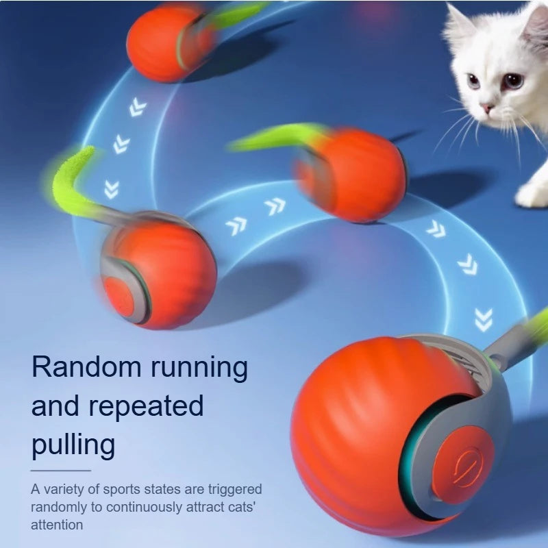 USB Rechargeable Automatic Rolling Ball Cat Toy with Tail