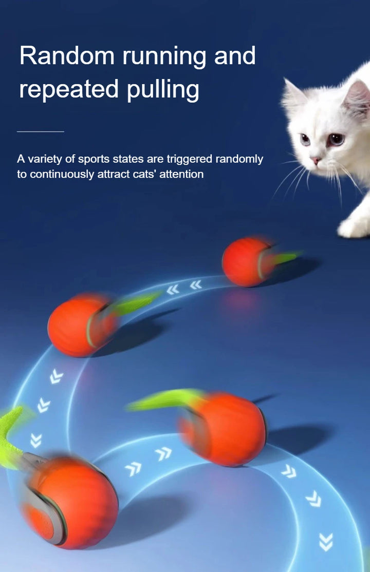 USB Rechargeable Automatic Rolling Ball Cat Toy with Tail