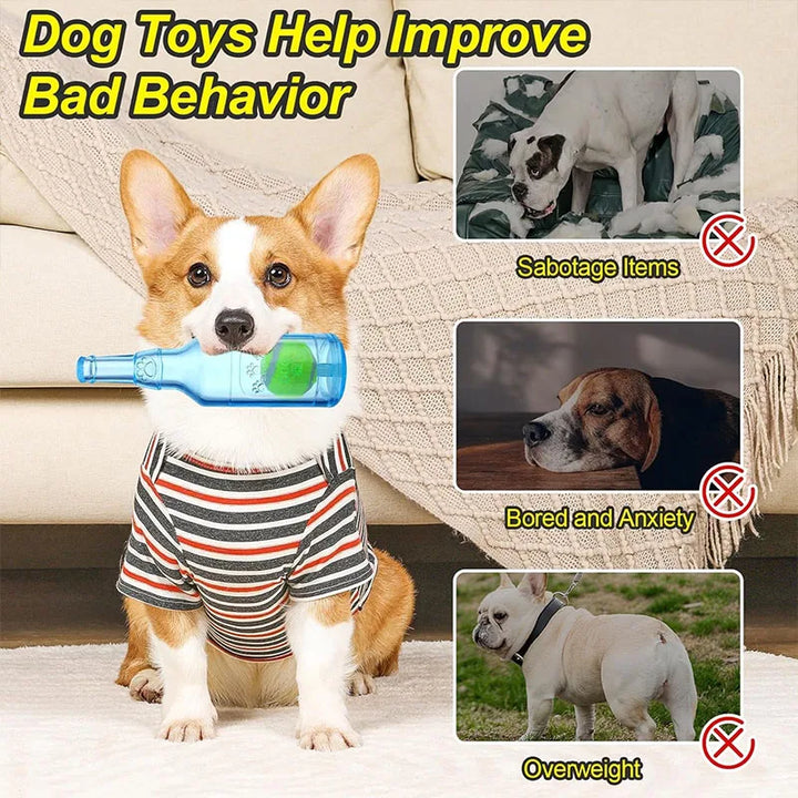 Squeaky Water Bottle Dog Toy for Interactive Chewing