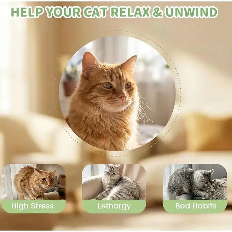 Mint Cigarette Cat Toy Chew Stick for Indoor Cats