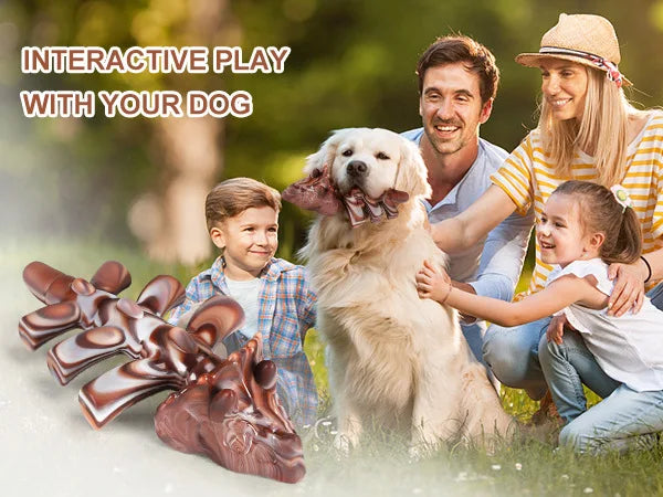 Beef Flavor Dog Chew Toy Lobster and Rabbit Shapes