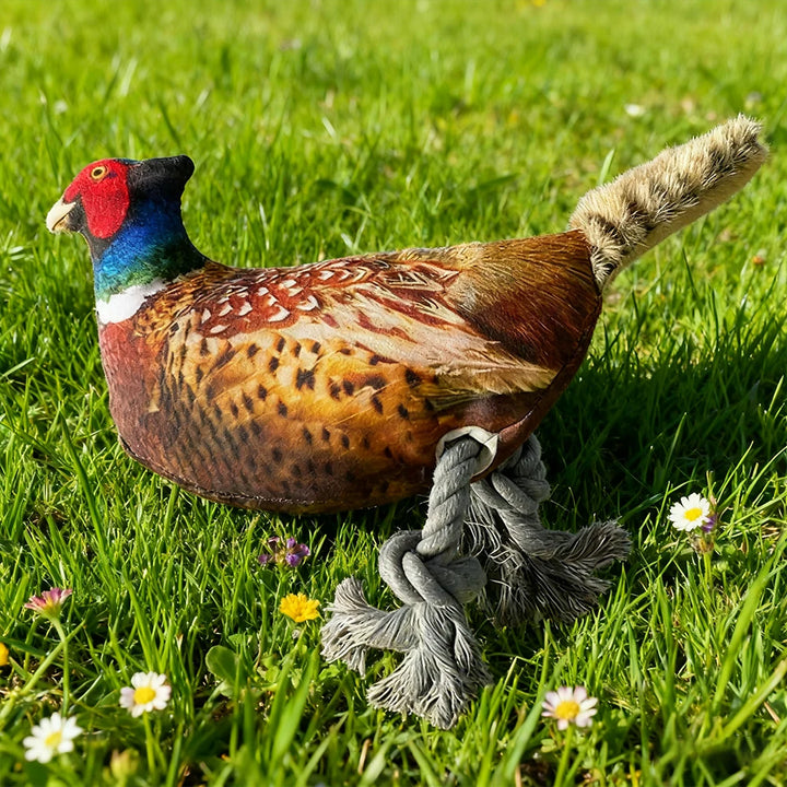 Colorful Pheasant Plush Squeaky Toy for Cats and Dogs