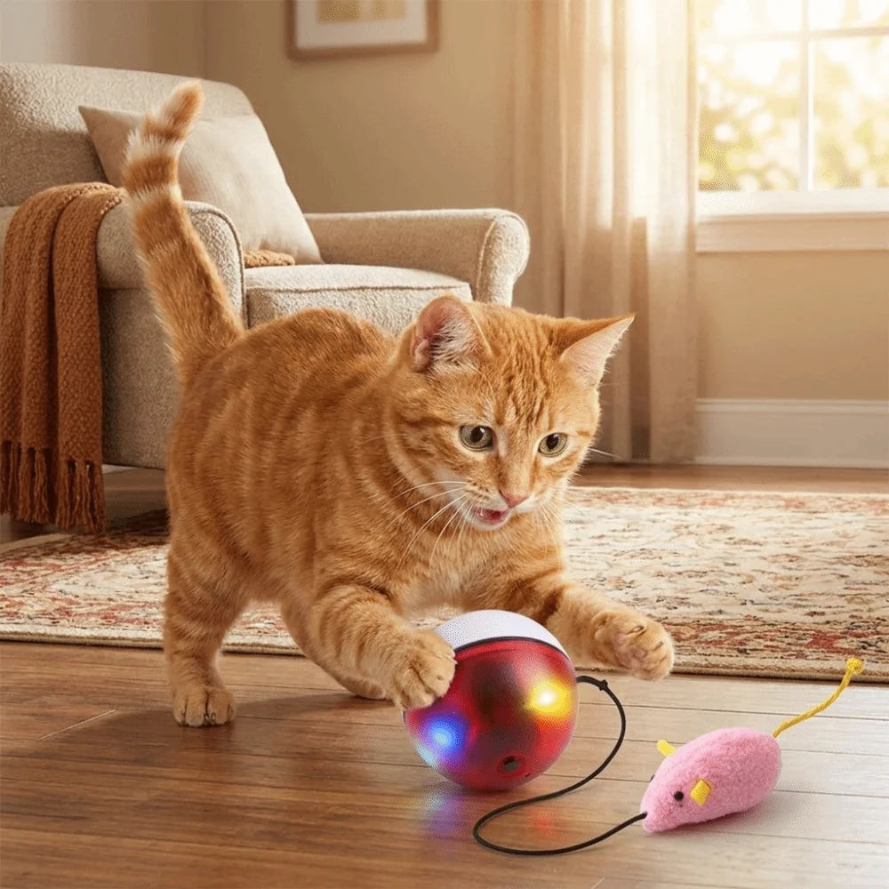 USB Rechargeable Interactive Cat Ball with Motion Sensor