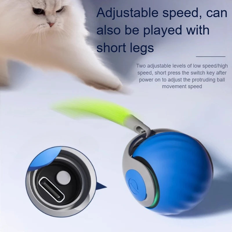 USB Rechargeable Automatic Rolling Ball Cat Toy with Tail