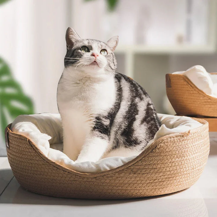 Four-Season Pet Nest Bed – Cozy Sleeping Bag Basket for Cats & Small Dogs