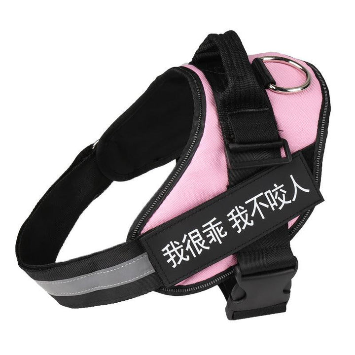 Ultimate Pet Adventure Chest Harness And Leash Set-4