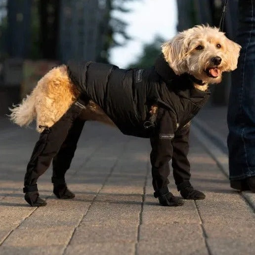 Doggie Strap Paw Protectors – Waterproof Non-Slip Dog Shoes for Outdoor Use | Adjustable Pet Boots for All Seasons