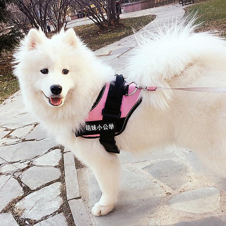Ultimate Pet Adventure Chest Harness And Leash Set-3